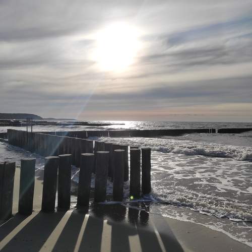 Photo #10848508