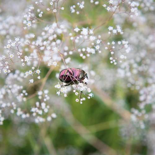 Photo #10848582