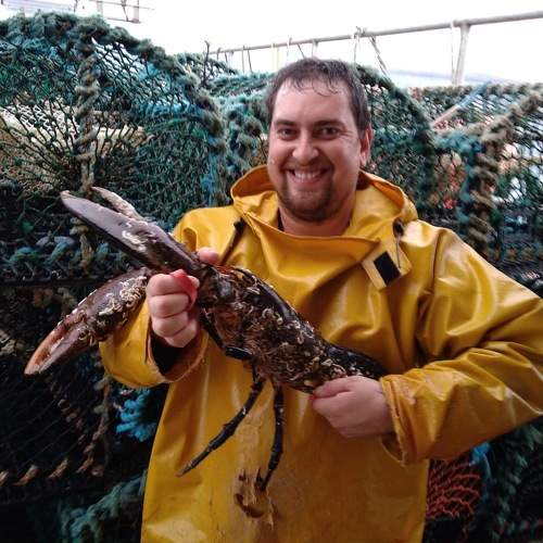 Photo #10848633