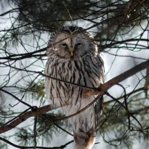 Photo #10849012