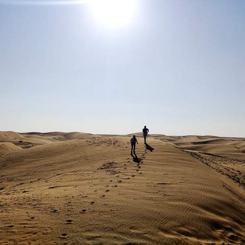 Photo #10849295