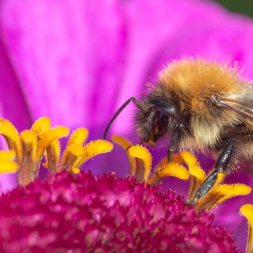 Photo #10849509