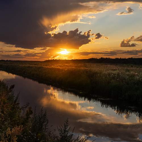 Photo #10849925