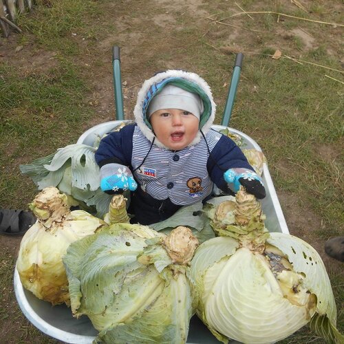 Смишулька