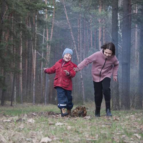 Photo #10850207