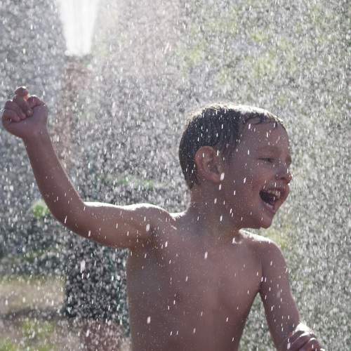 Photo #10850208
