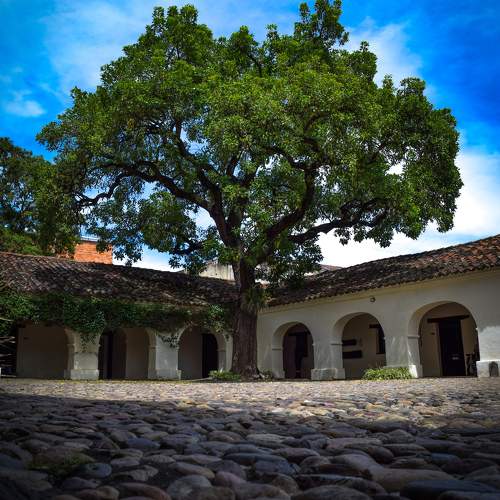 Photo #10850470