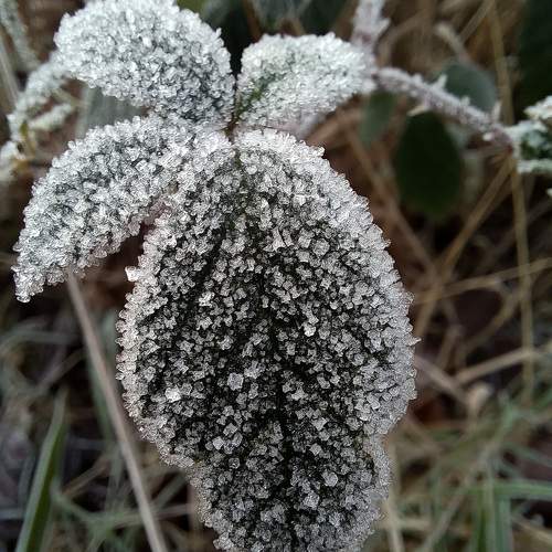Photo #10850551