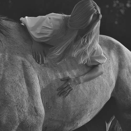 Photo #10850561