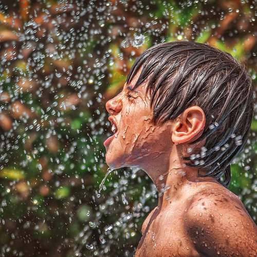 Photo #10850714