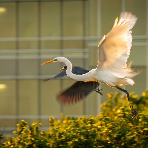 Photo #10850720