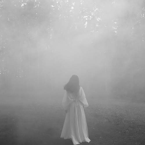 Photo #10851227
