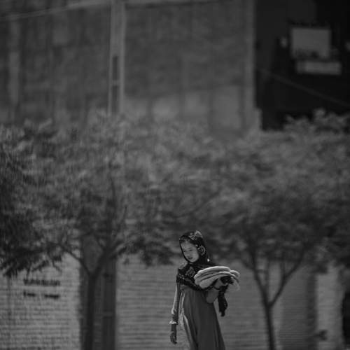 Photo #10851440