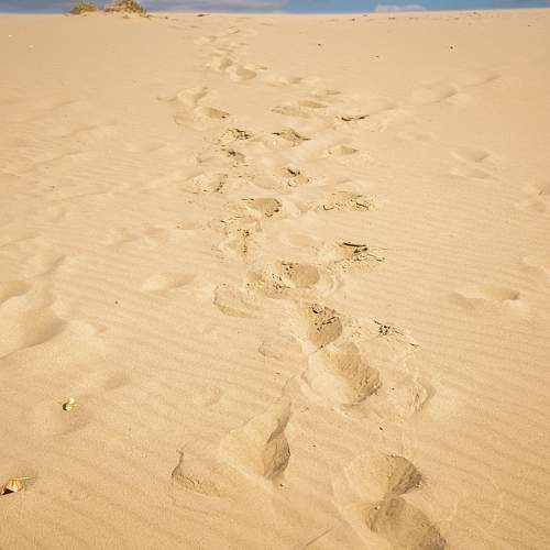 Photo #10851448