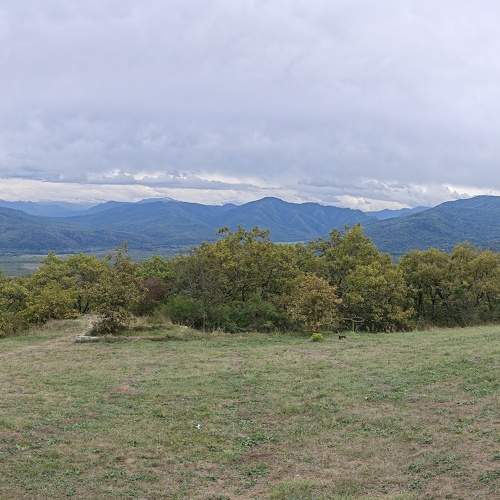 Photo #10851453