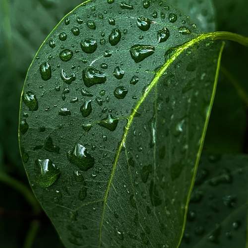 Photo #10851577