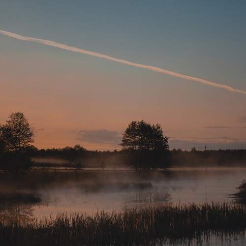 Фотография #10851697