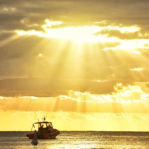 Photo #10851912