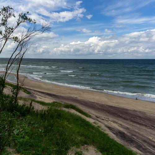Photo #10852264