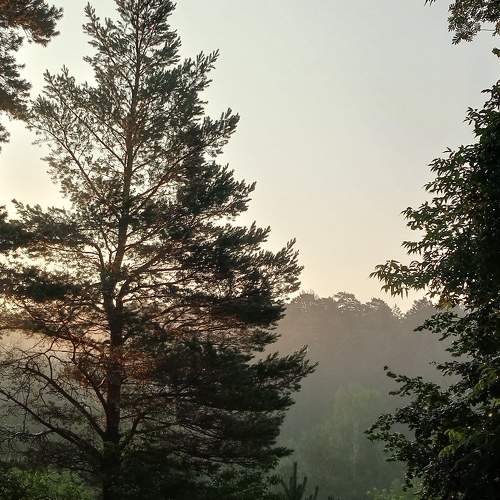 Photo #10852480