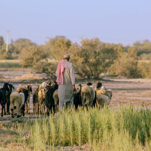 Photo #10852517