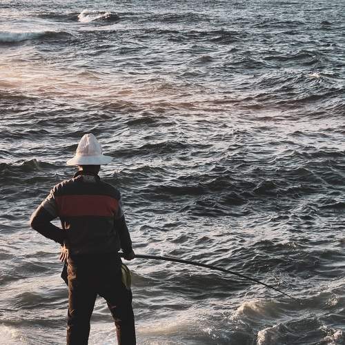 Photo #10852716