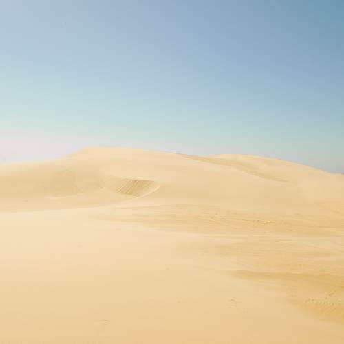 Photo #10852936