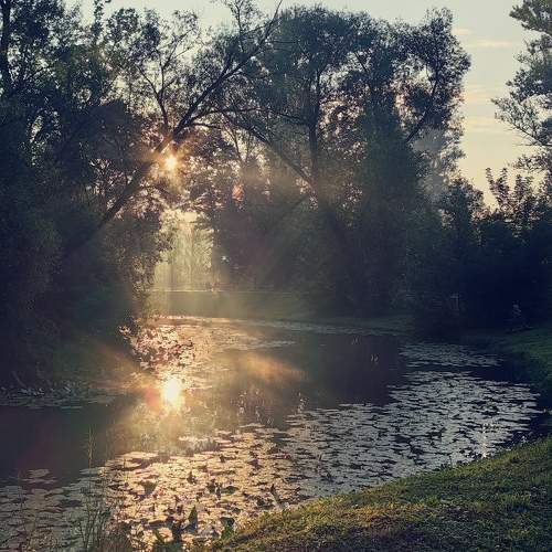 Photo #10853546