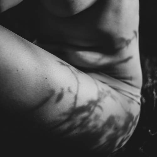 Photo #10854656