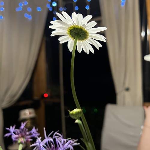 Photo #10855214