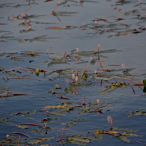 Photo #10855236