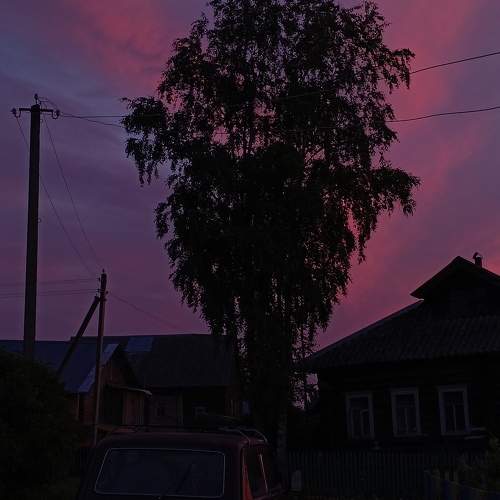 Photo #10855506