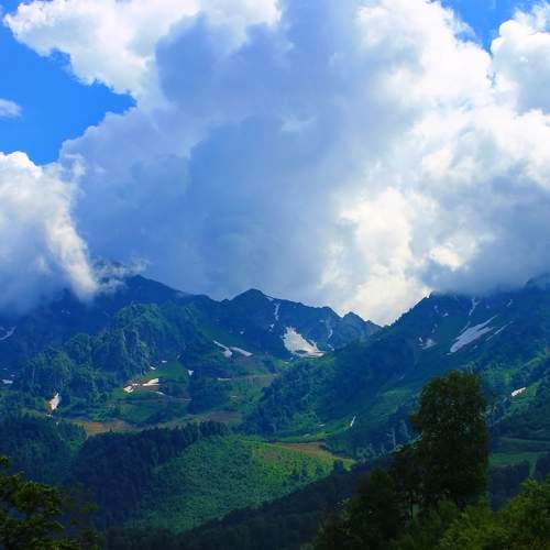 Photo #10855847