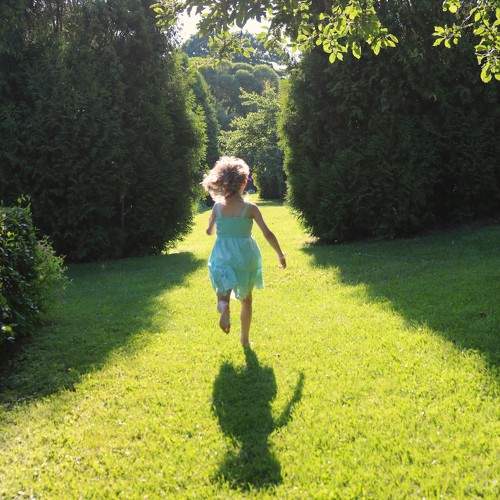 Photo #10856199