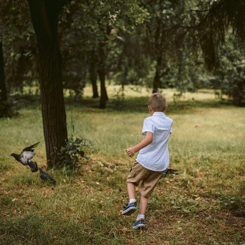 Photo #10856283