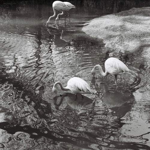 Photo #10856416
