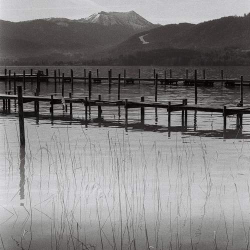 Photo #10856421