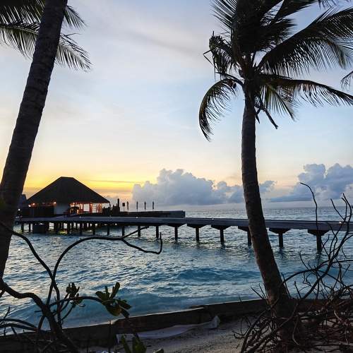 Photo #10856473