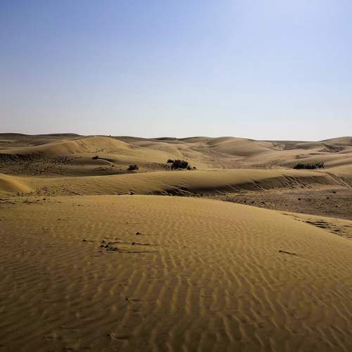 Photo #10856716
