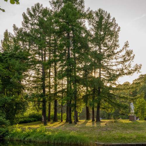 Photo #10856782