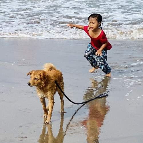 Photo #10856887