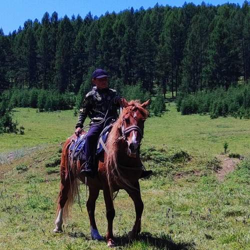 Photo #10856890