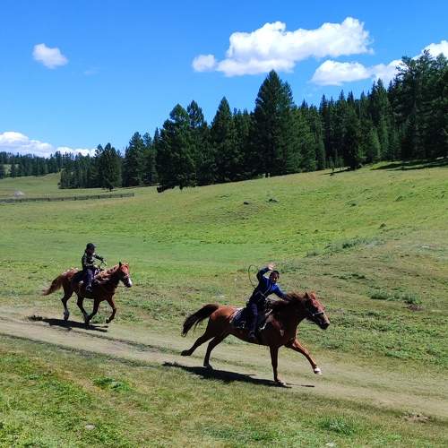 Photo #10856896