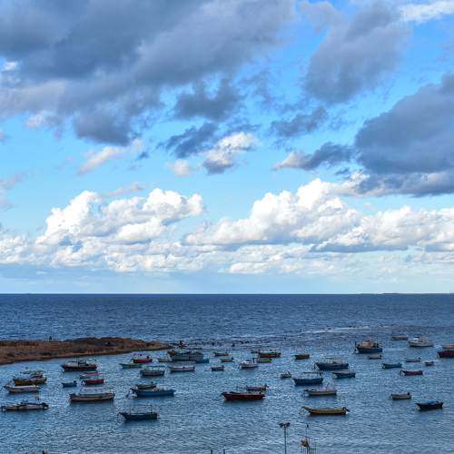 Alexandria