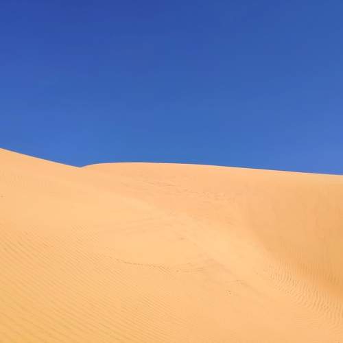 Photo #10857285