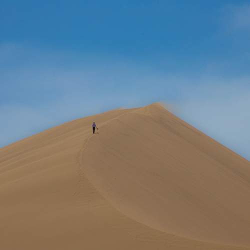 Photo #10857746