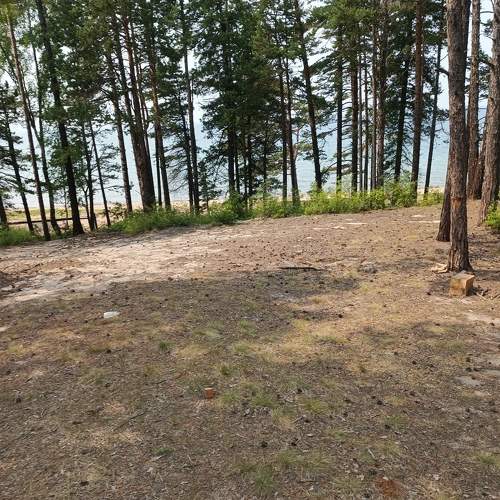 Photo #10857762