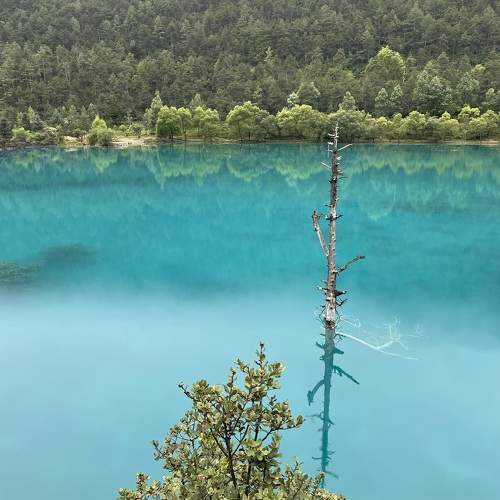 Photo #10857900