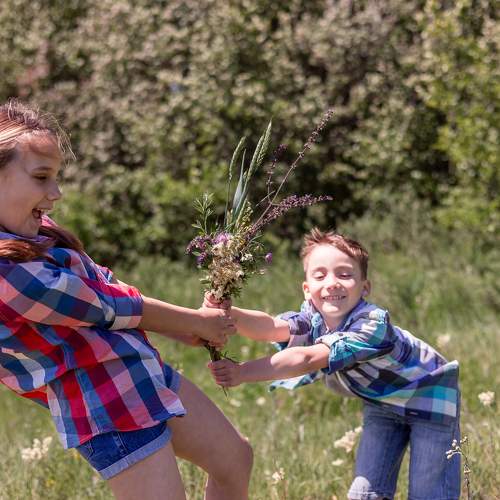 Photo #10858590
