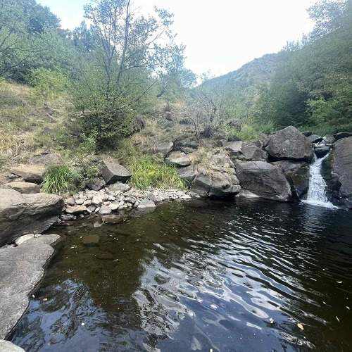 Photo #10858610